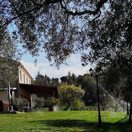 Agriturismo La Contea Senigallia Βίλα San Gaudenzio Εξωτερικό φωτογραφία